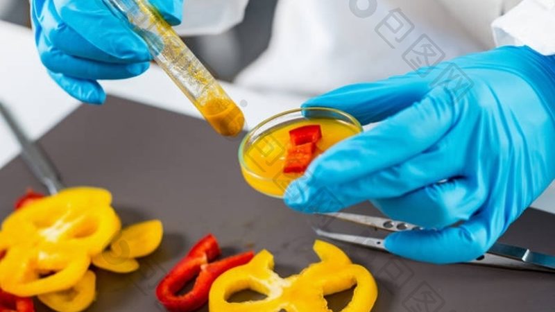 行业现状：坚果炒货市场潜力巨大，新手代理需谨慎选择